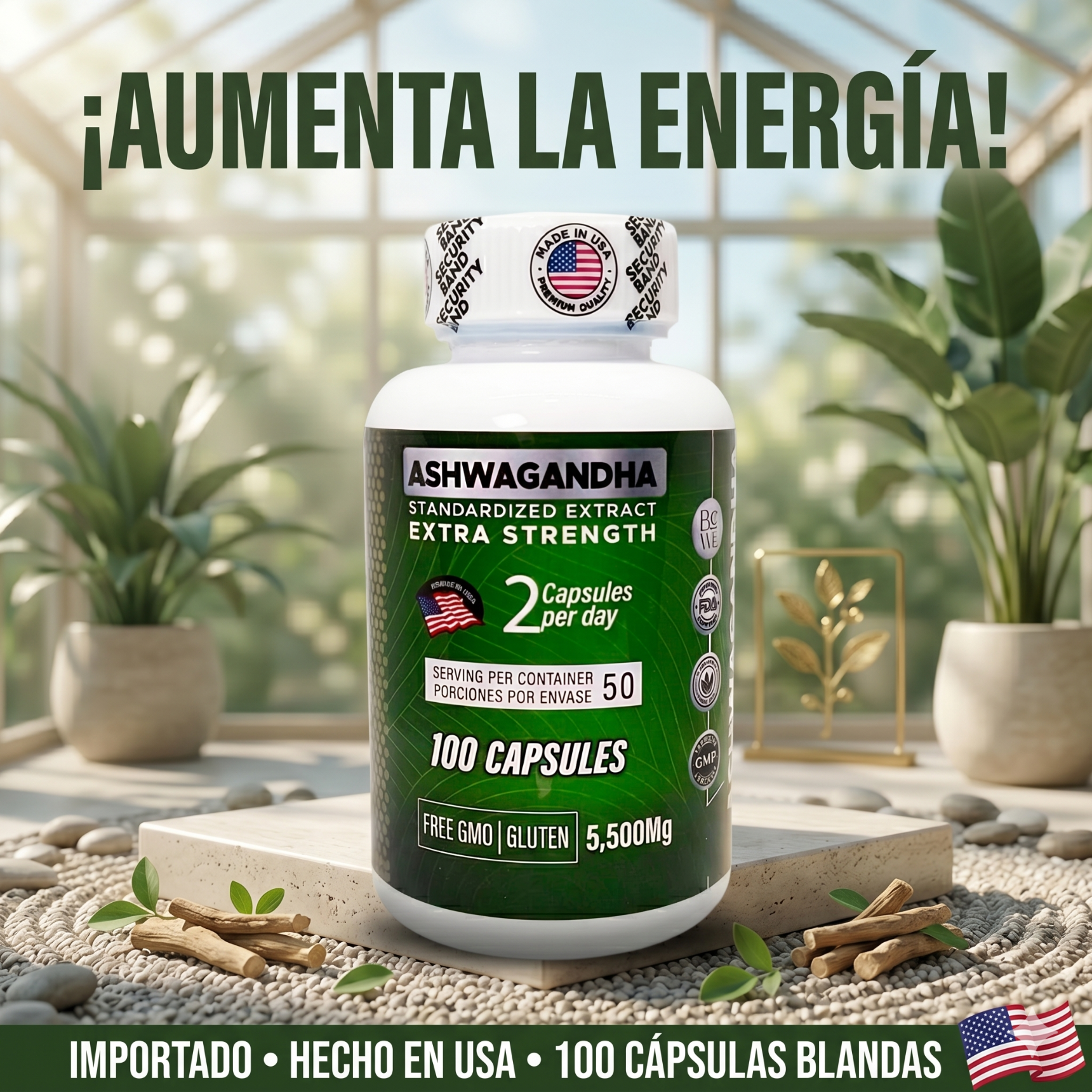 Encabezado